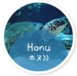 ホヌ Honu